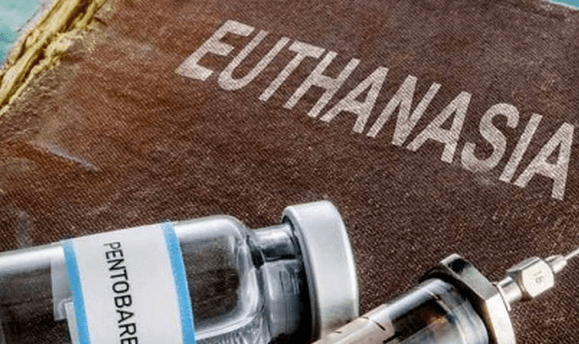 Франція: єпископат критикує проєкт легалізації евтаназії