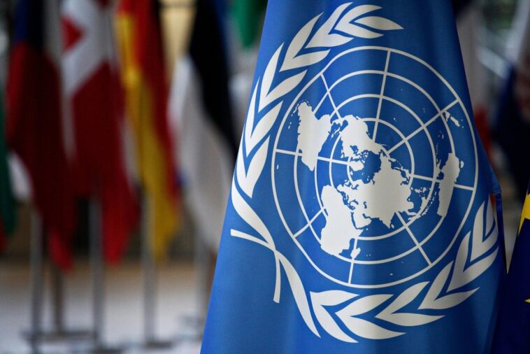 США відхилили документ ООН, який просуває гендерну ідеологію